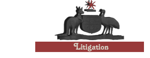Litigation